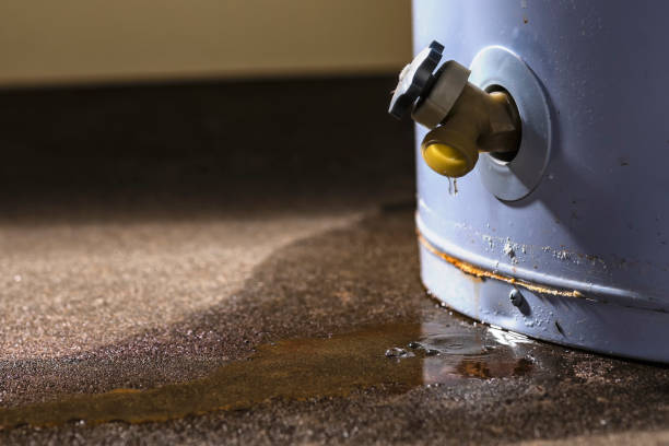 Local water damage restoration in South Monroe, MI