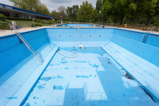 Best Water damage repair service  in South Monroe, MI
