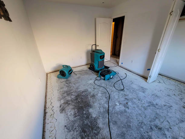 South Monroe, MI Water damage restoration Company