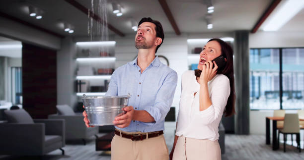 Best Local water damage restoration  in South Monroe, MI