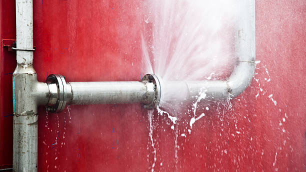 Best Water damage restoration specialists  in South Monroe, MI